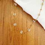 COLLIER VANIGLIA