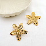 BOUCLES GLINT