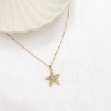 COLLIER LIVIE