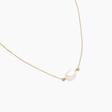 COLLIER NAIA
