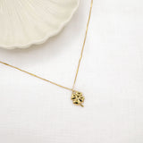COLLIER NOX
