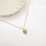 COLLIER NOX