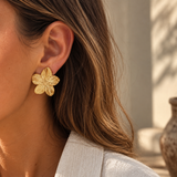 BOUCLES NOE