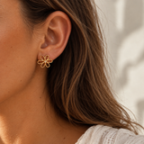 BOUCLES ALINEA