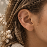 PIERCING CALORA - TITANE
