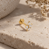 PIERCING DORVINE - TITANE