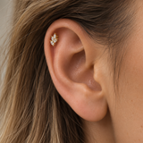 PIERCING DORVINE - TITANE
