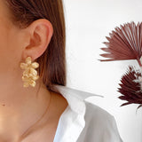 BOUCLES TERRA