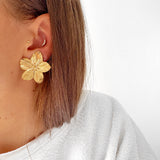 BOUCLES NOE