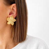 BOUCLES NOE