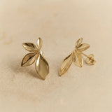 BOUCLES RINA