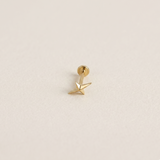 PIERCING KALDORA TITANE