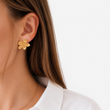 BOUCLES ASA