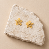 BOUCLES AZALEA