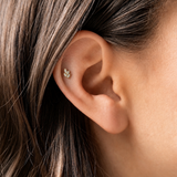 PIERCING DORVINE - TITANE