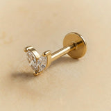 PIERCING MARLON