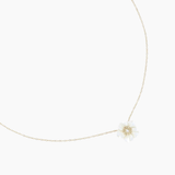 COLLIER OCEAN