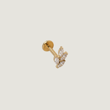 PIERCING DORVINE - TITANE