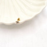 PIERCING IRIS