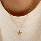 COLLIER LIVIE