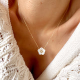 COLLIER OCEAN